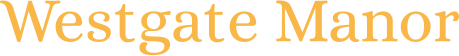 Bidhut